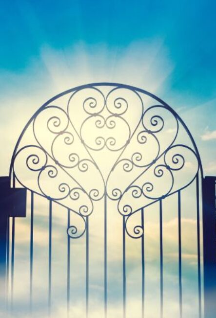 vitnesbyrd om himmelen, himmelske erfaringer, himmelen