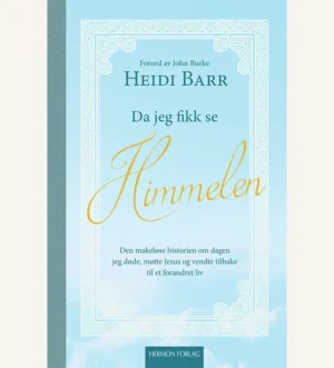 jeg så himmelen, jeg så Jesus, himmelopplevelse, overnatuerlig opplevelse