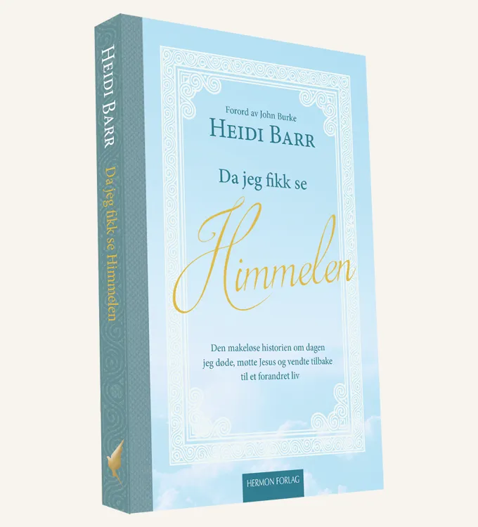 Da jeg fikk se Himmelen - Bilde 2