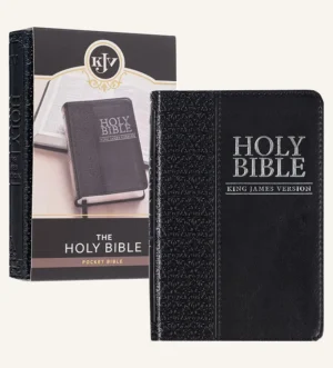 Holy Bible (KJV) / sort kunstskinn u/reg