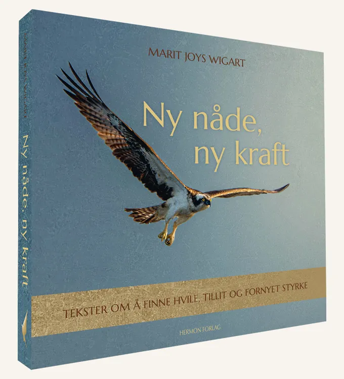Ny nåde, ny kraft - Bilde 2