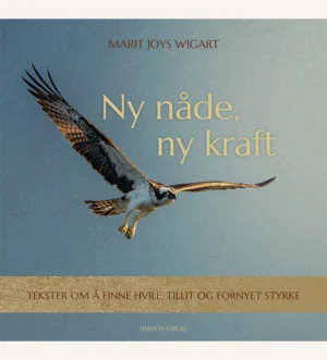 ny nåde, ny kraft, coffeetable book