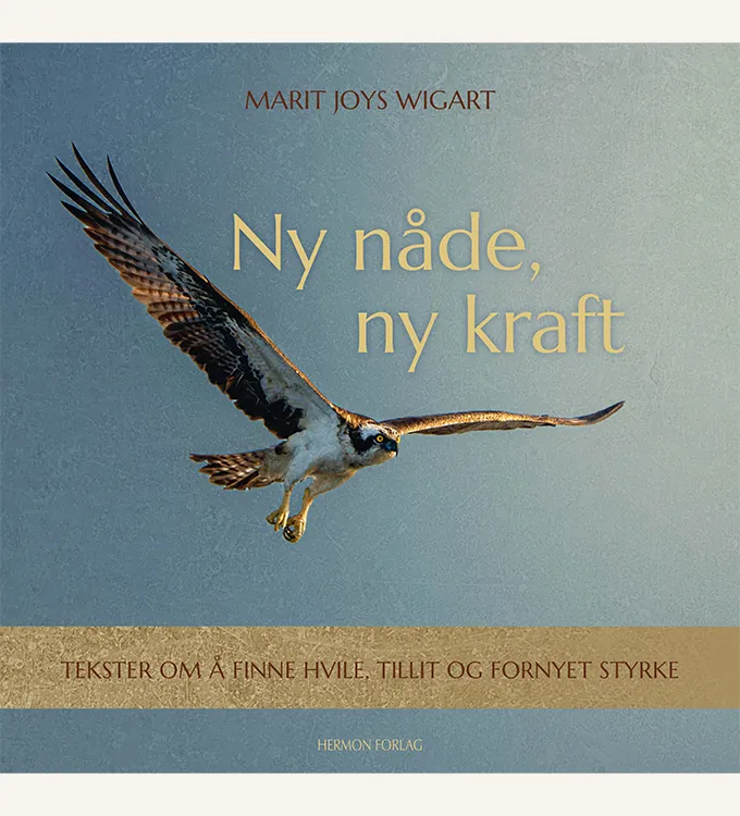 ny nåde, ny kraft, coffeetable book