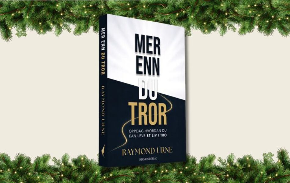 mer enn du tror, julegavetips ham